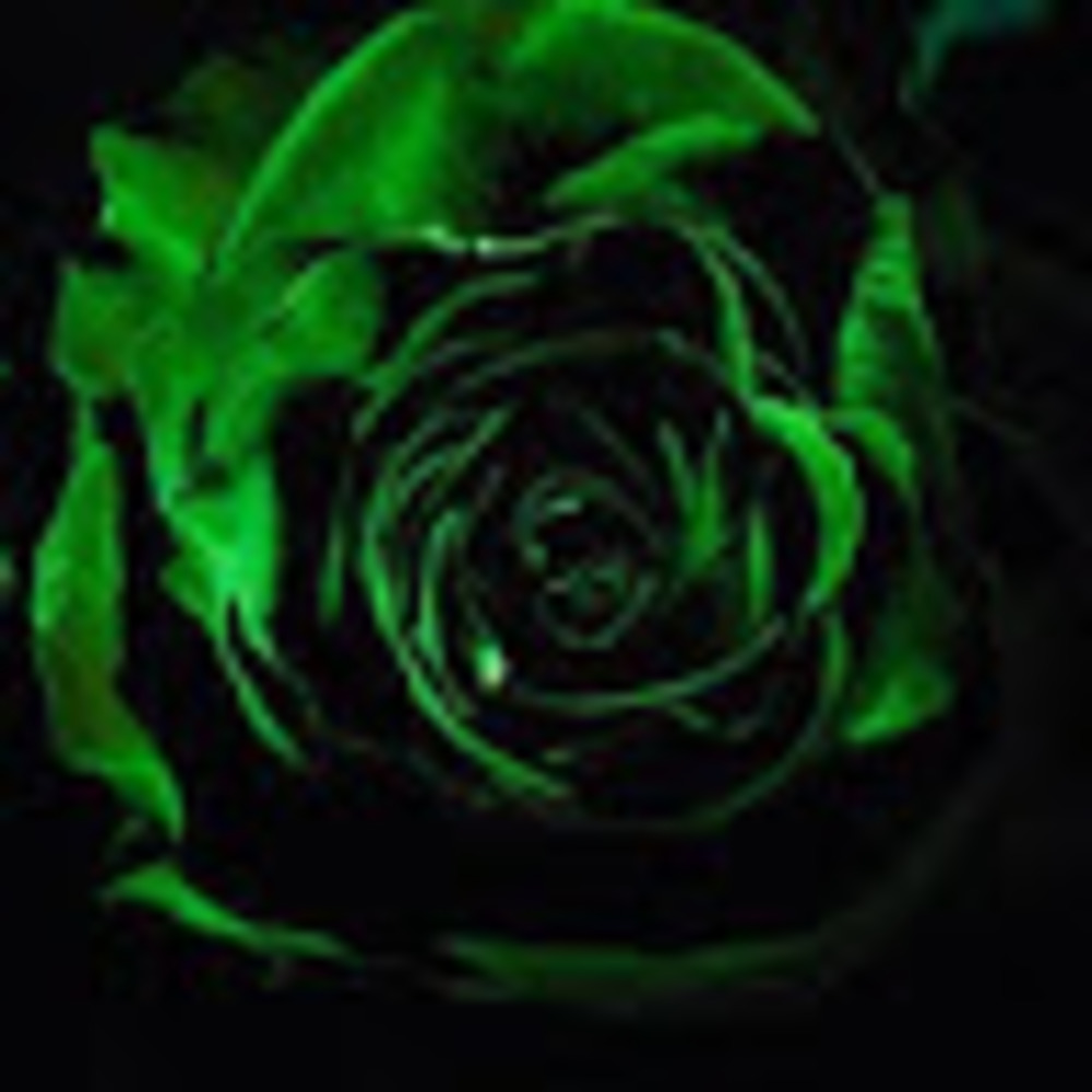 Meet your Posher, Shoshana